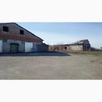 Продам ферму с. Матвіїха Володарського р-ну Київської обл. +земля 2 га