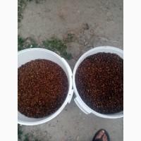 Продам пергу 1100гр за1кг