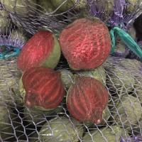 Продам хорошую свежую свеклу Киевская Область
