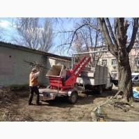 Нужно убрать или расчистить участок? Позвоните нам