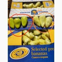 Продам перець