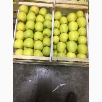 Продам яблука гарної якості голдан, Чернівецька обл