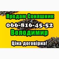 Підприємство переробник/виробник, реалізує соняшникове насіння