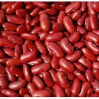 Продаємо квасолю сорту Томатка (Red kidney beans)