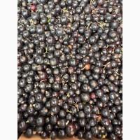 Продам морожену чорну смородину