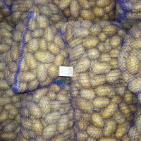 Продам насіннєву картоплю сорт Гранада