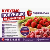 Куплю Полуницю!На заморозку