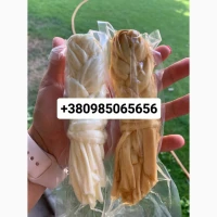 Сулугуни коса, палочка, нитка и вкусовые виды Опт Україна