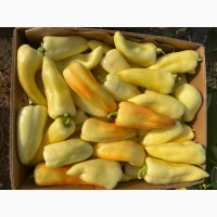 Продам перець