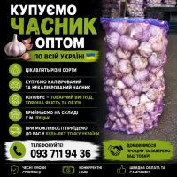 Купуємо часник оптом по усій Україні