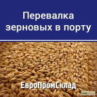 Прием зерна на склад в порту, перевалка зерновых