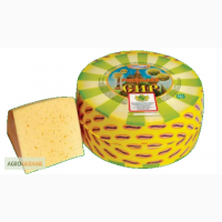 Сыр оптом от производителя