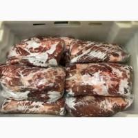 Продам морожений ошийок