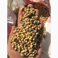 Продам сою некондиция