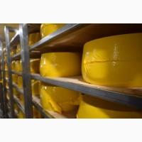 Продам сир твердий «Класичний» за приємною ціною
