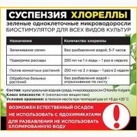 Хлорелла суспензия (Chlorella-Vulgaris) - живой штамм хлореллы
