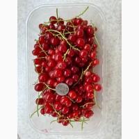 Смородина красная замороженная (порічка)