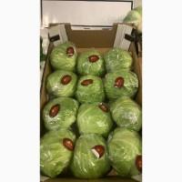 Оптовая продажа зелени