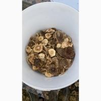 Мухомор пантерный красный королевский (шляпки, ножки)