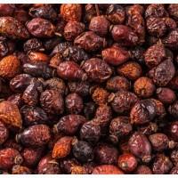 Продам шипшину висушену