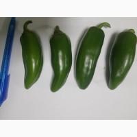 Продам перець гіркий халапеньо