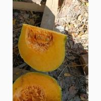 Продам товарну тикву