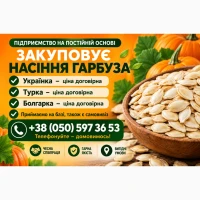 Закупівля гарбузового насіння