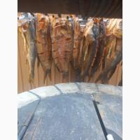 Товстолоб холодного копчення