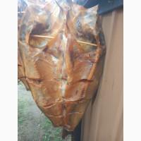 Товстолоб холодного копчення