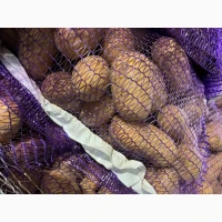 Продам товарну картоплю, різні сорти
