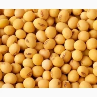 ОАЦ Страйв - І репродукція