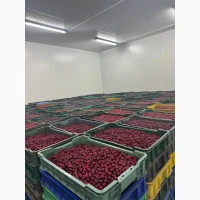 Продам вишню охолоджену крупним оптом (з холодильника, відмінна якість