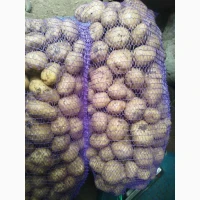 Продам картоплю