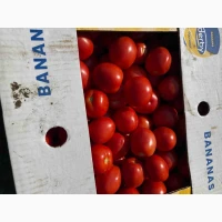 Продам качественную номерную сливку