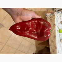 Продам перець красний