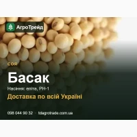 Насіння сої Басак - еліта, РН-1