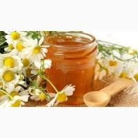 Куплю мед оптом, без антибиотика