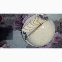 Продам сир бринзу