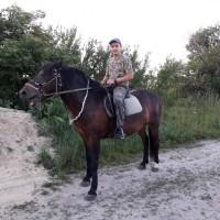 Продам робочу кобилу