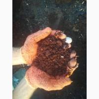 Продам СЫПЕЦ в мешках