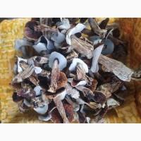 Продам білі гриби, сушені, 1 сорту