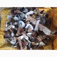 Продам білі гриби, сушені, 1 сорту