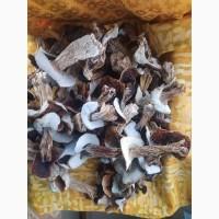 Продам білі гриби, сушені, 1 сорту