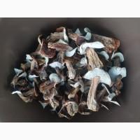 Продам білі гриби, сушені, 1 сорту