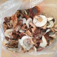 Продам білі гриби, сушені, 1 сорту