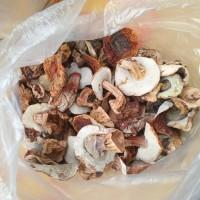 Продам білі гриби, сушені, 1 сорту