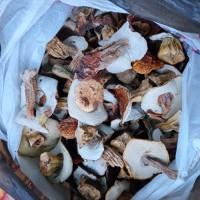 Продам білі гриби, сушені, 1 сорту