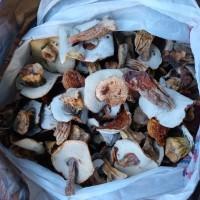 Продам білі гриби, сушені, 1 сорту