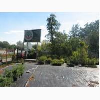 Участок с евроофисом на фасаде Одесской трассы (47-й км, с.Митниця, 15 минут от Теремков)