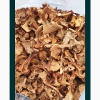 Продам Лисички сушені, якість хороша